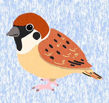 241227sparrow2